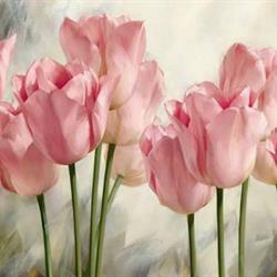 1440x900_soft-pink-tulips1.jpg